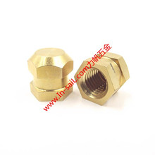 in-Molding Brass Product Insert Nuts